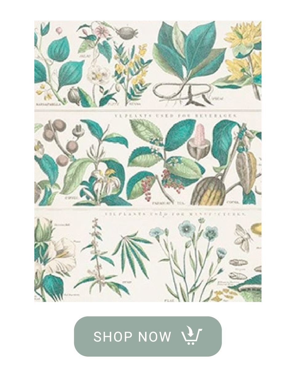 plant category of hattan art poster